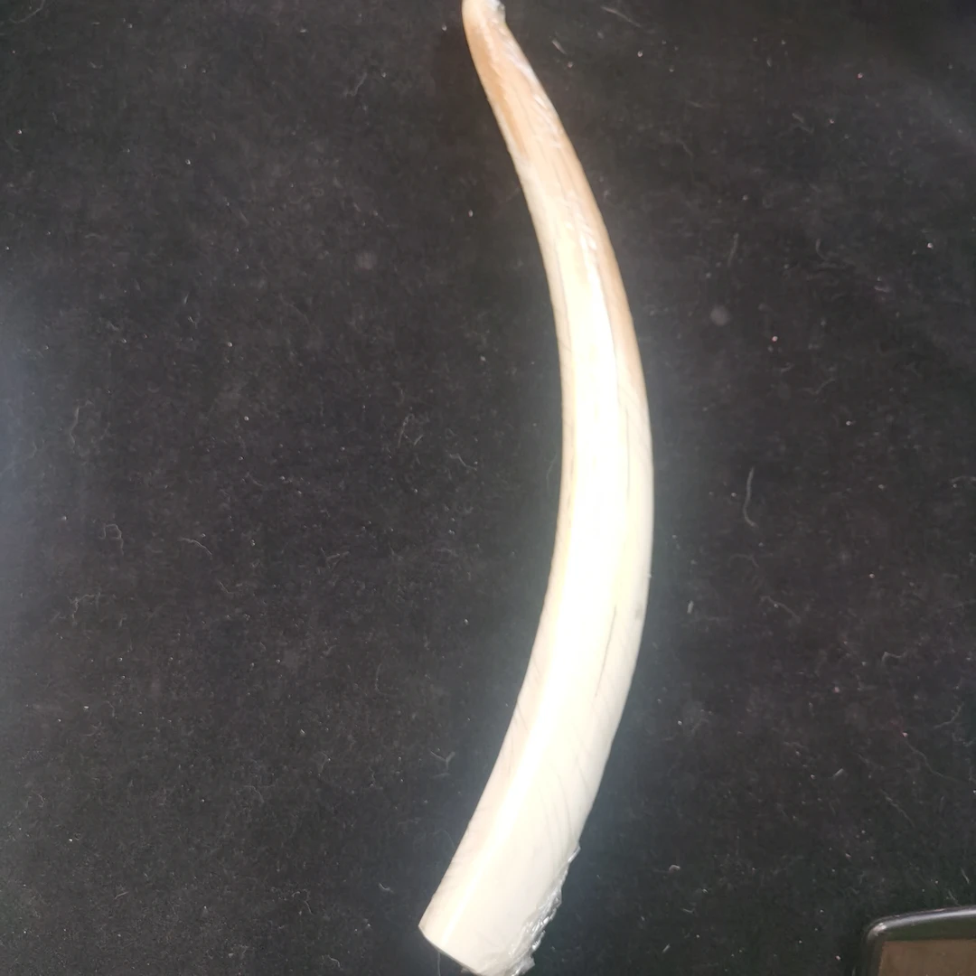 猛犸猛犸虬摆件kk916