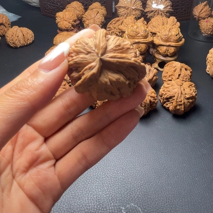 T*M白狮子核桃哈哈哈哈哈哈哈哈哈