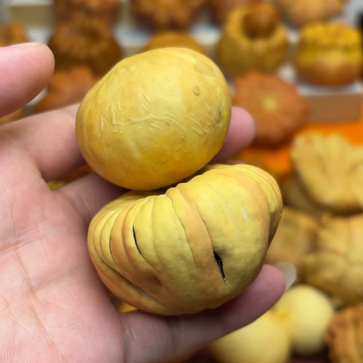 瑕疵福利不退不换