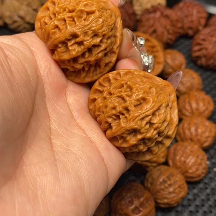 秦岭野生0000000099021