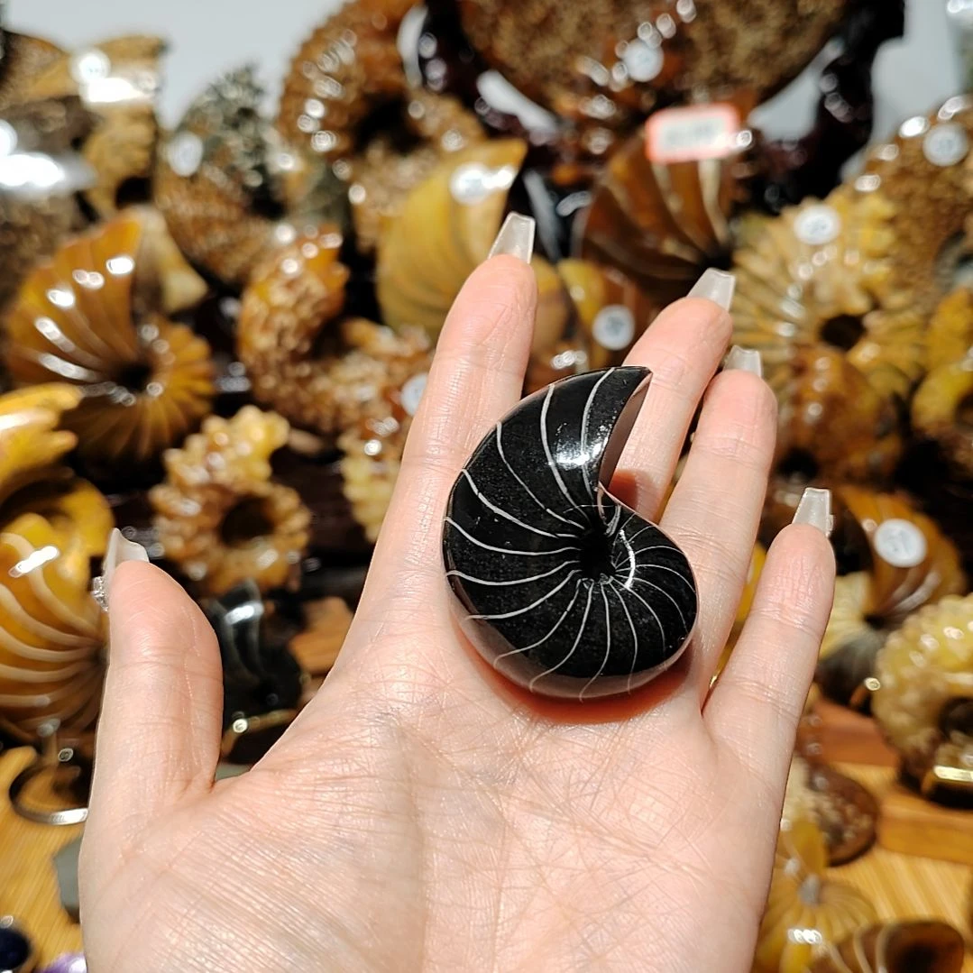 羊***狼有机玻璃123456789