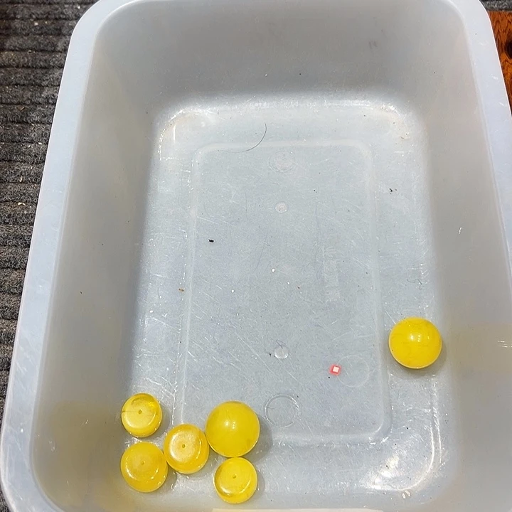 木027 大果紫檀（缅甸花梨）