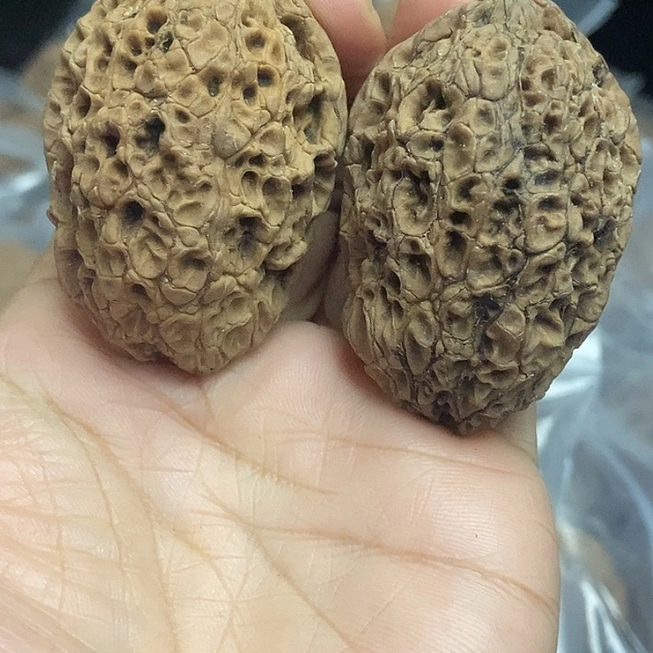 木质类云南铁核桃+24