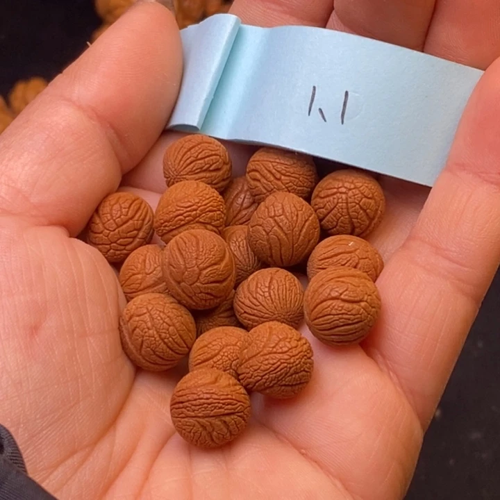 秦岭龙纹桃核21颗