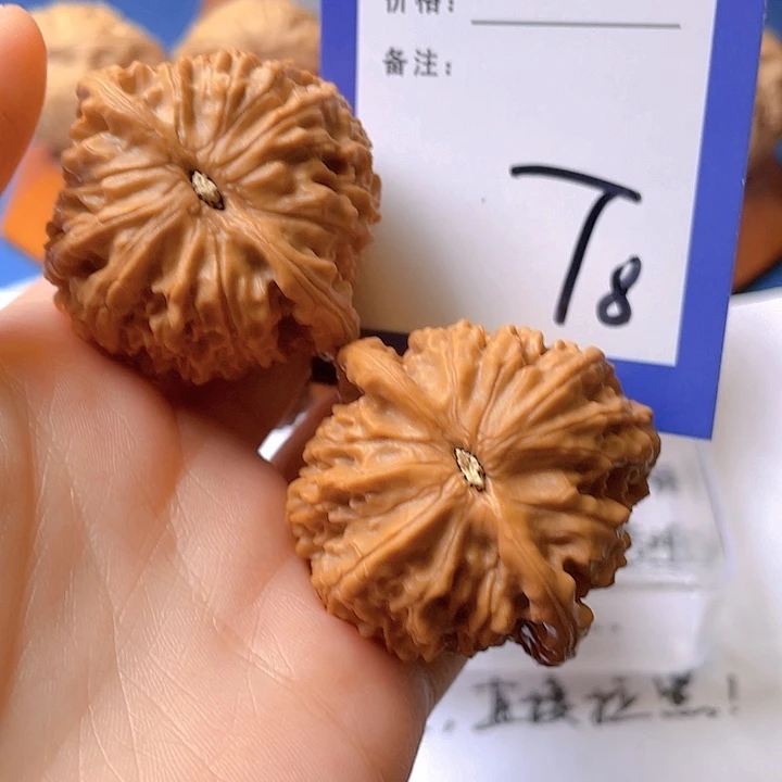 文玩核桃把件杨*峰文玩核桃8