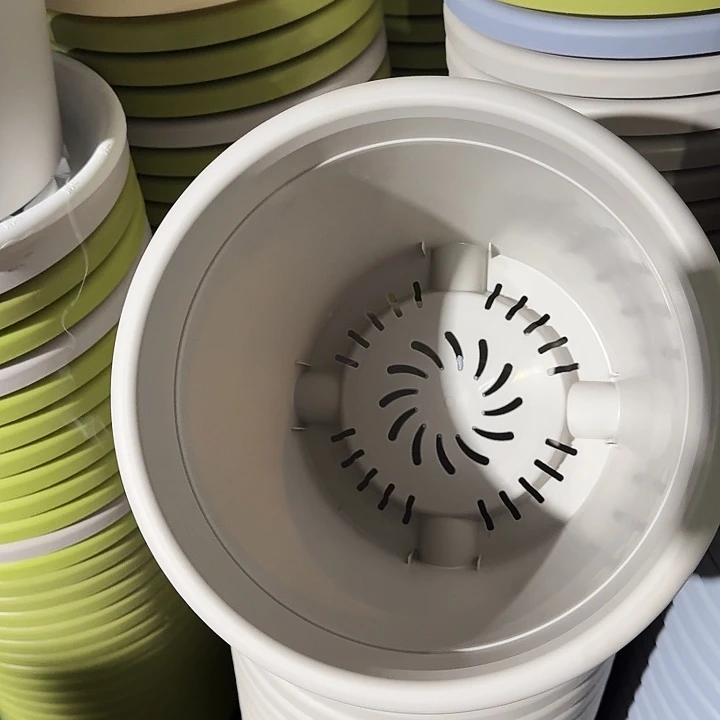 四季5号灰白无托6个特价微瑕