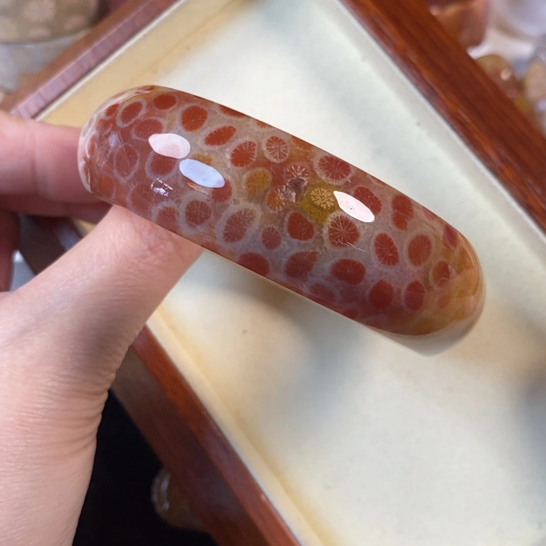 硅化珊瑚（珊瑚玉）未镶嵌手镯62.5口大福利800