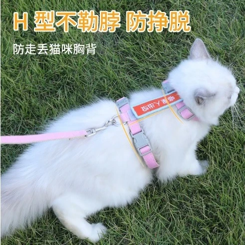 猫咪牵引绳专用四季溜猫遛猫绳防挣脱可调节猫绳子牵引猫拴猫绳链