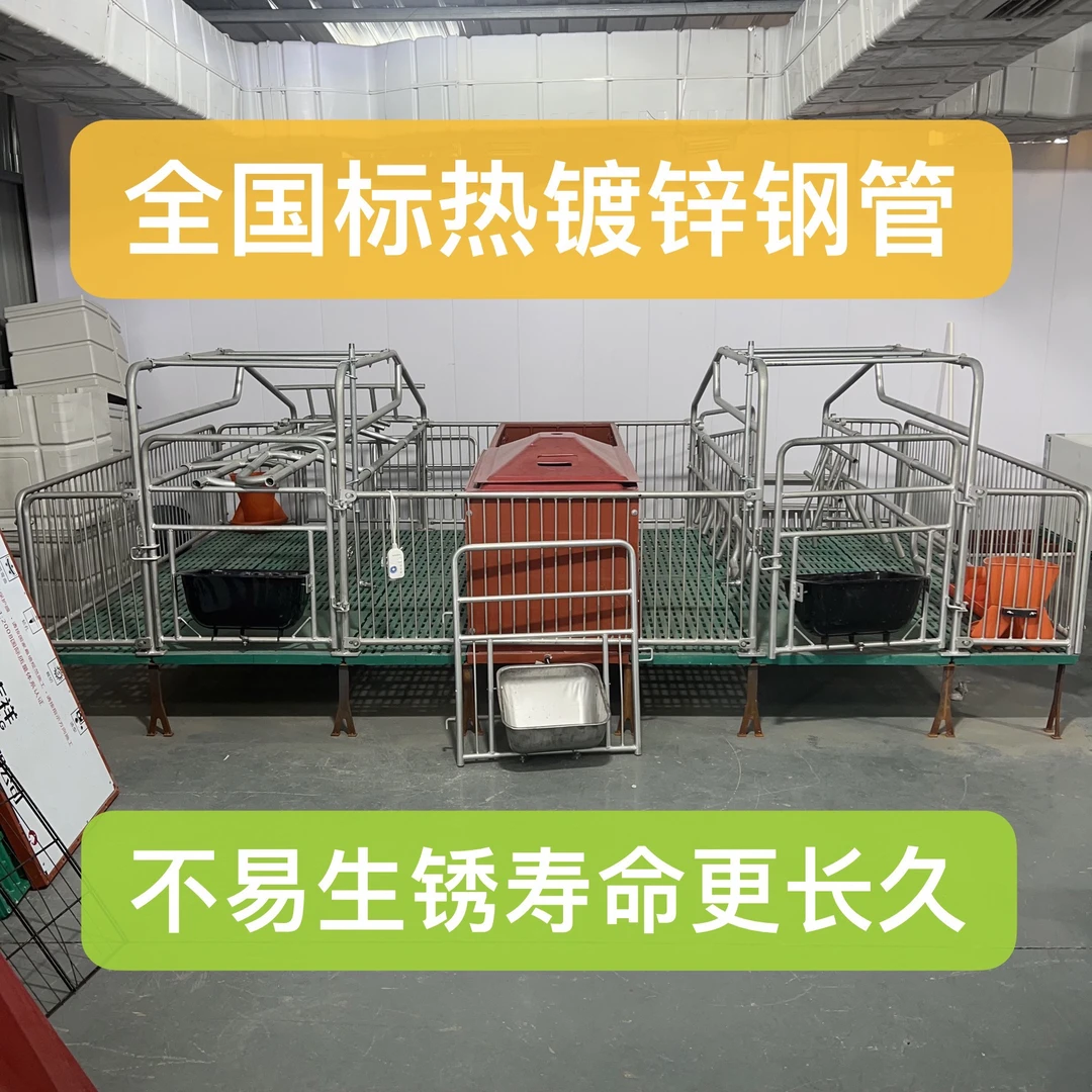 产保一体两用母猪产床热镀锌限位栏保育床养猪设备