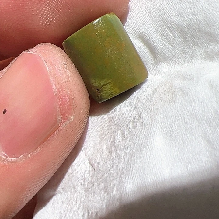 香榧木在家了一个小时