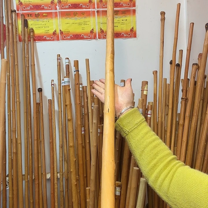 砥***）Rgjknvfdxcbmkkgtrdxvnkjgrd