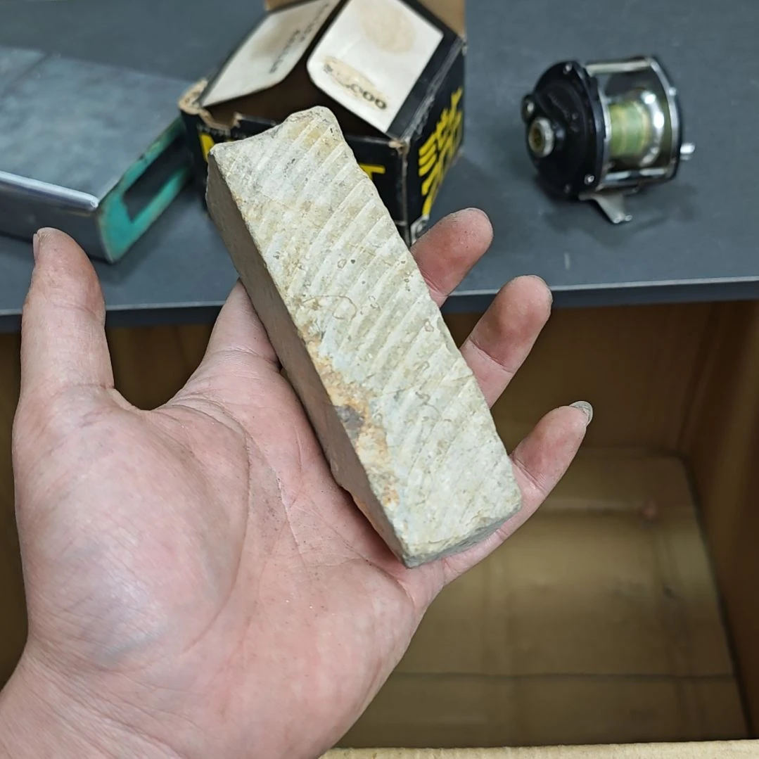 亮***度哦哦哦哦哦哦哦哦模型