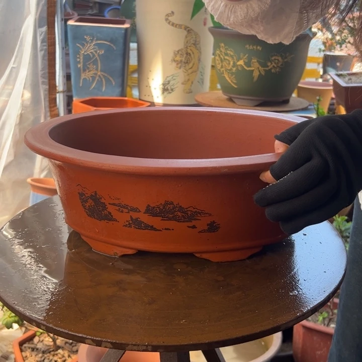 38红椭圆花盆花盆花盆花盆