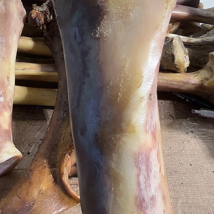 观***引yyyhu整根问题前腿前腿