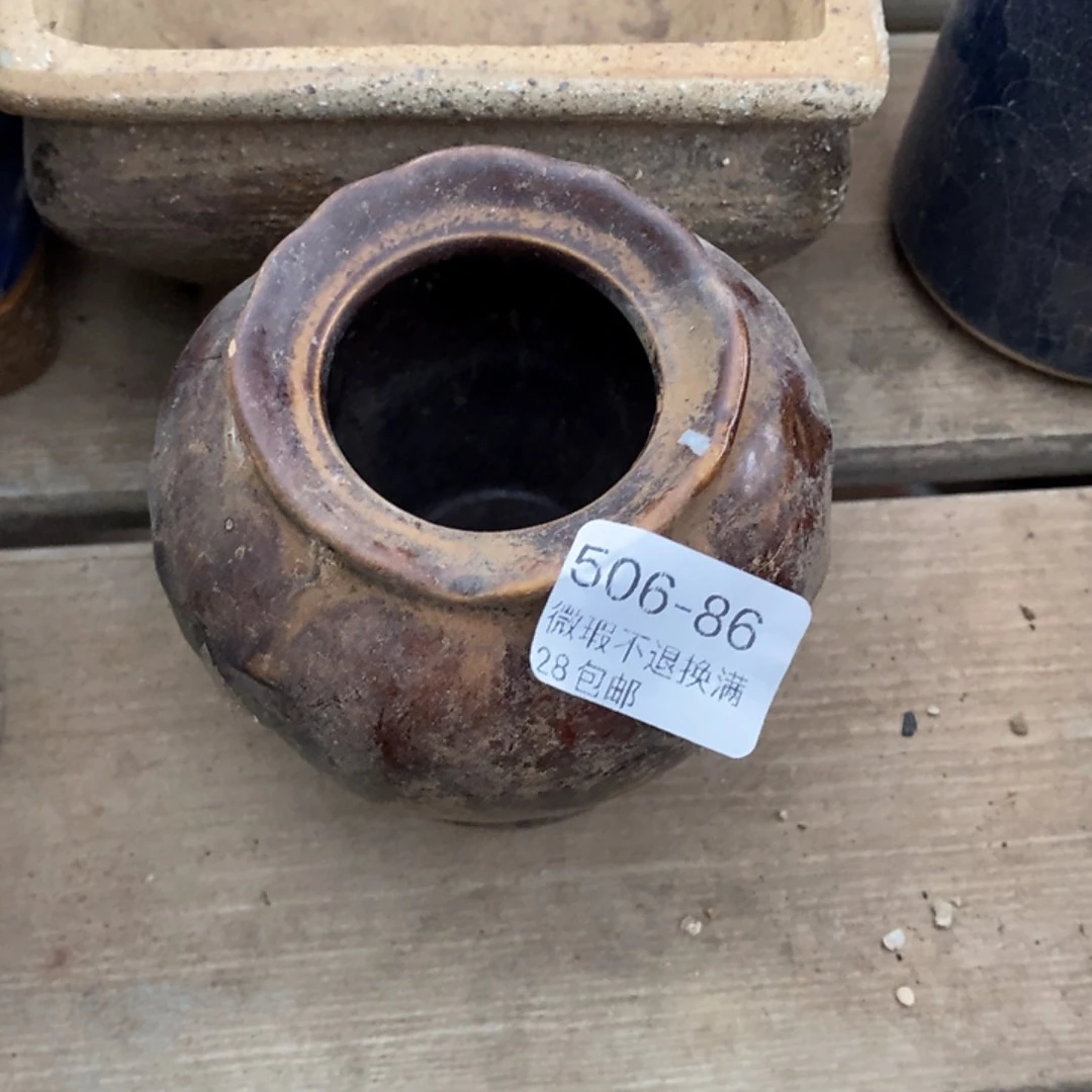 86号多肉盆小可爱