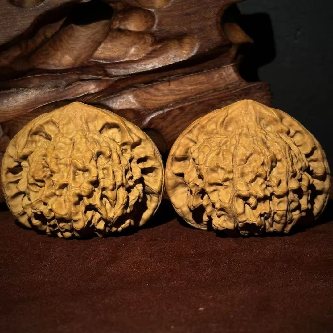 白茬矮桩大尺寸官帽核桃——215