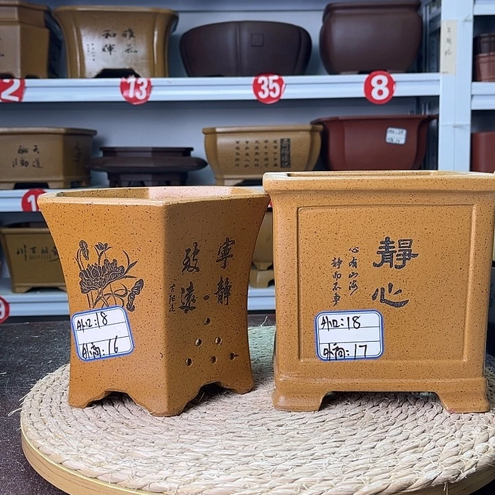 紫砂花盆你在一起