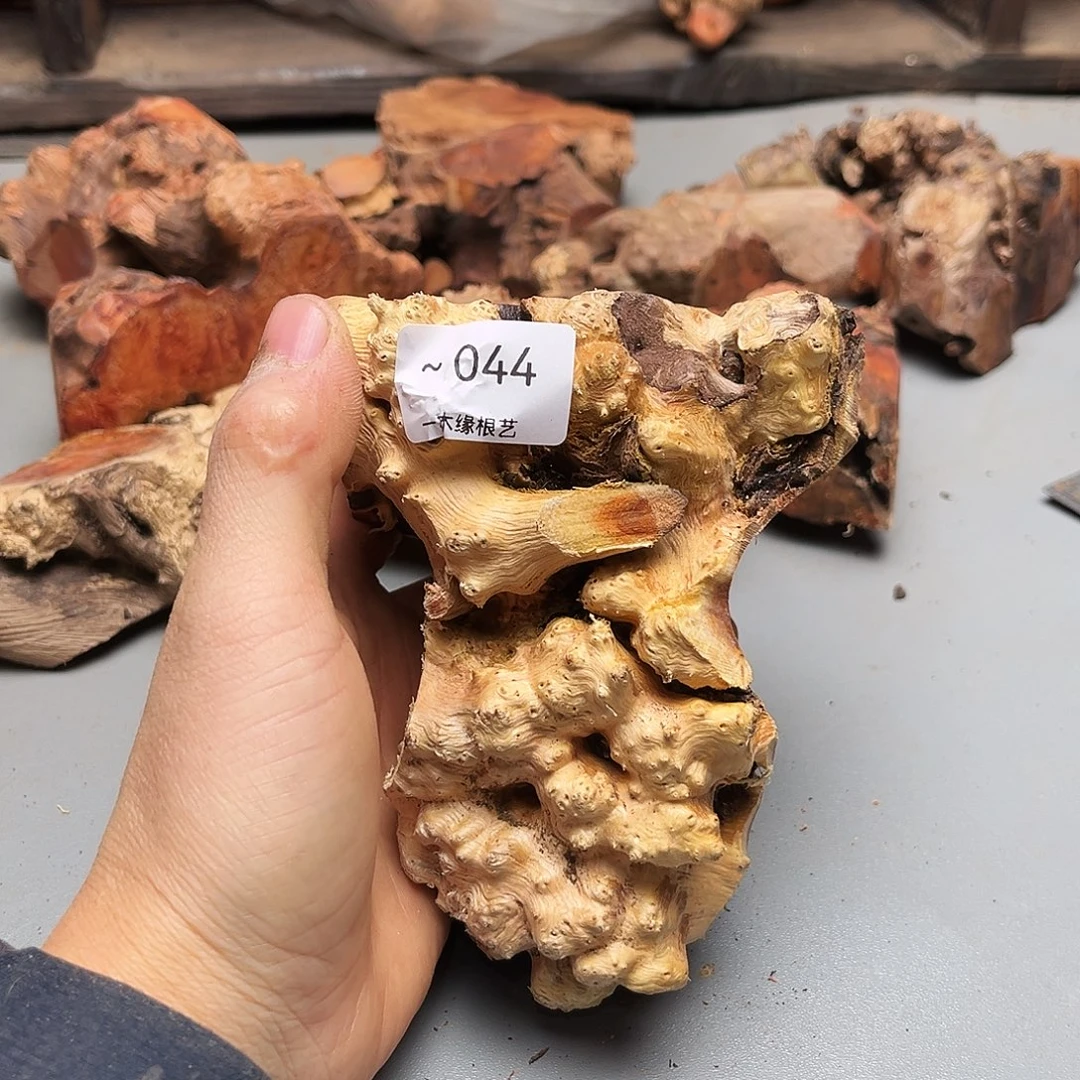 尼***欢无花朵00000000044