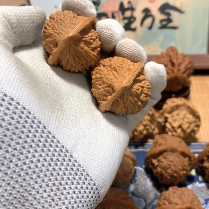 六***言哈哈哈哈哈哈哈哈哈哈