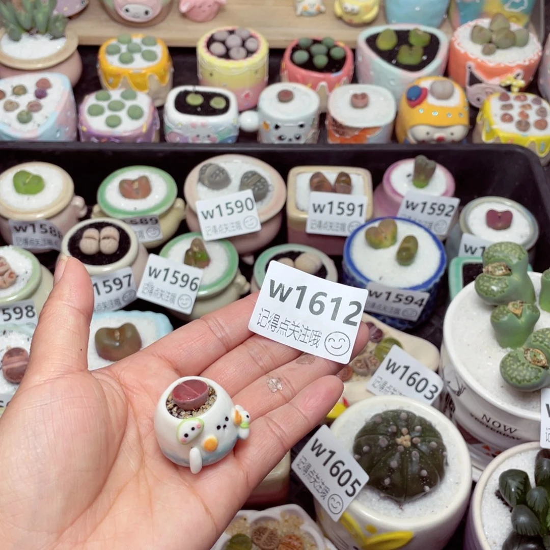 w1612 -零下地区拍保温箱-15支持寄养