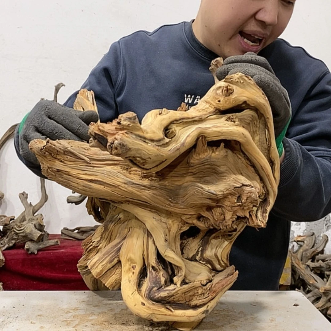 【闪购商品】柏木不****头我们都是好孩子