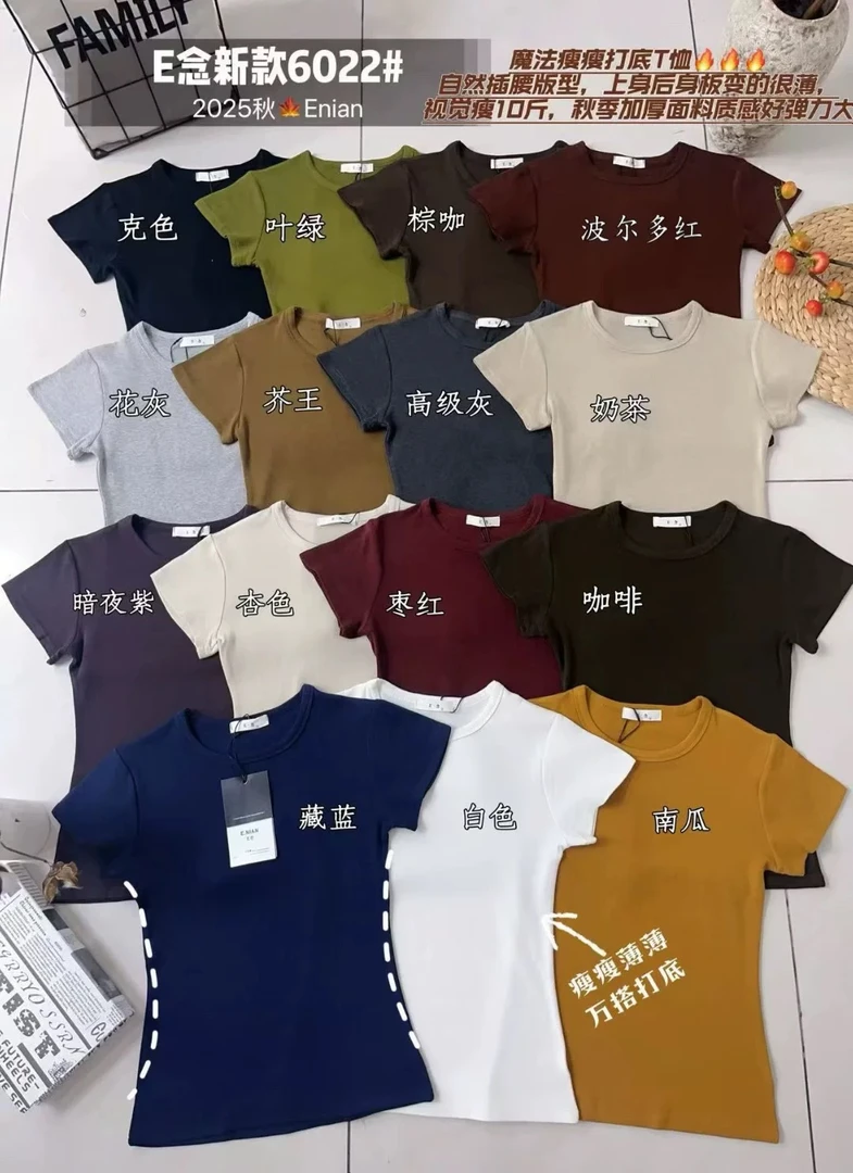 E念6022早秋新款圆领短袖T恤羊绒棉韩版修身显瘦百搭打底衫上衣