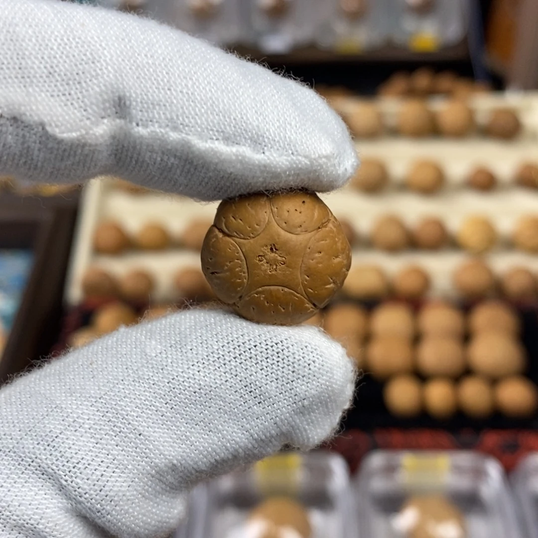 凤眼菩提吊坠17五星单颗