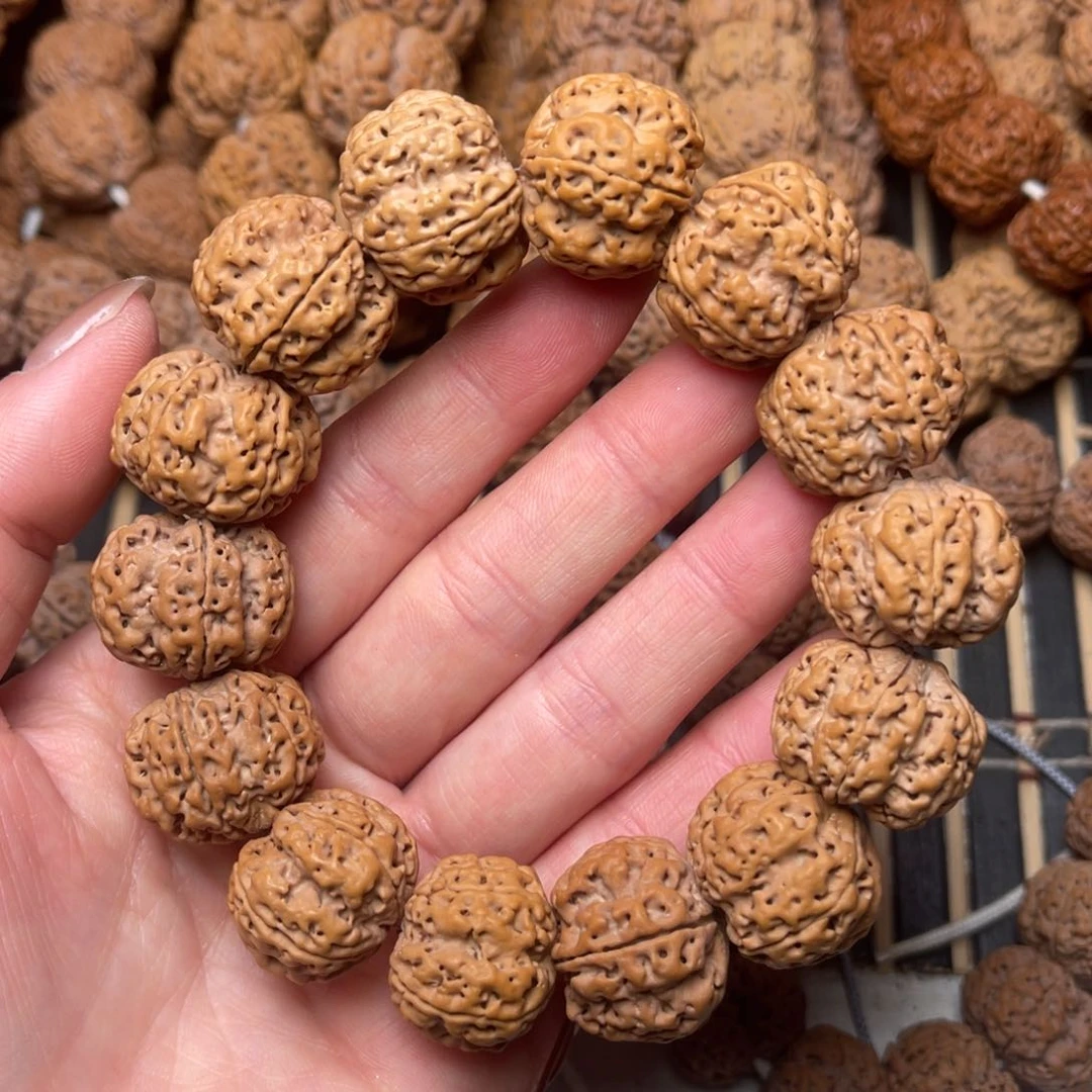 菩提尼泊尔大金刚满肉梅花21+