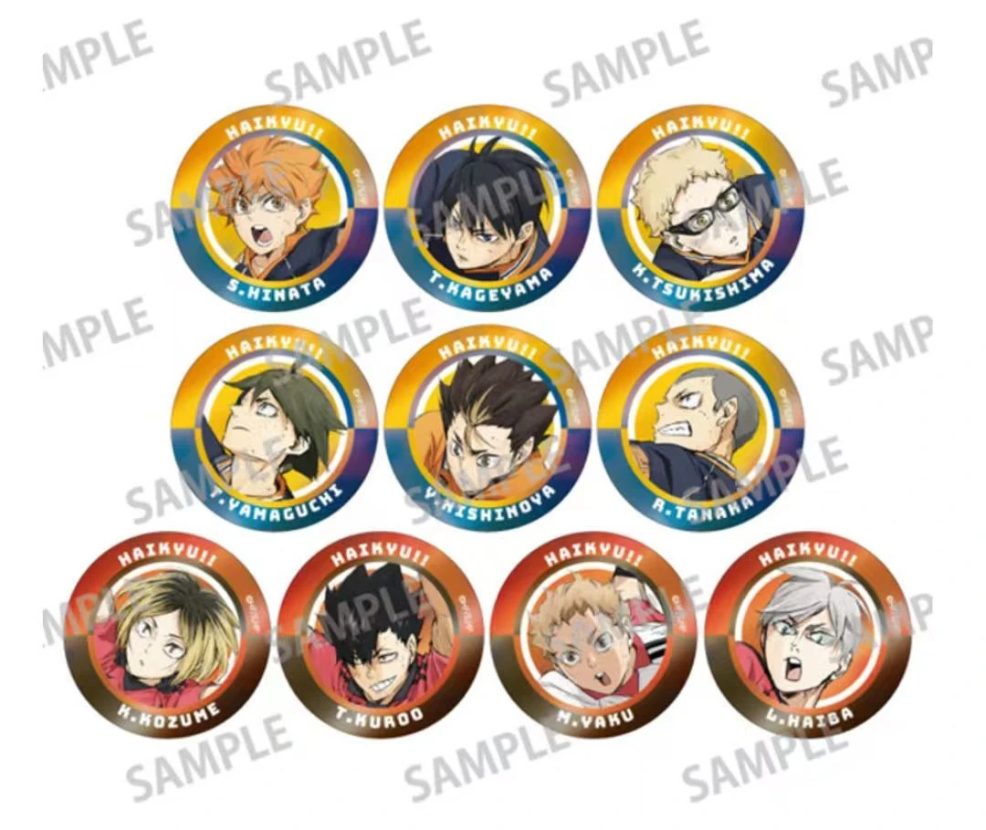 【拆盒】排球少年 GDS 金属色 徽章吧唧  潮玩盲盒