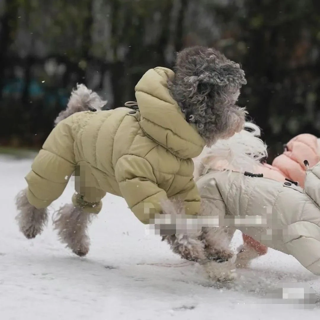 韩版泰迪贵宾小型犬宠物狗狗冬天衣服四衣加厚羽绒棉服保暖防寒