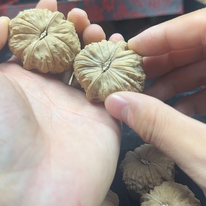 钓***长龙脊菩提吊坠啊啊啊啊啊啊啊南瓜13