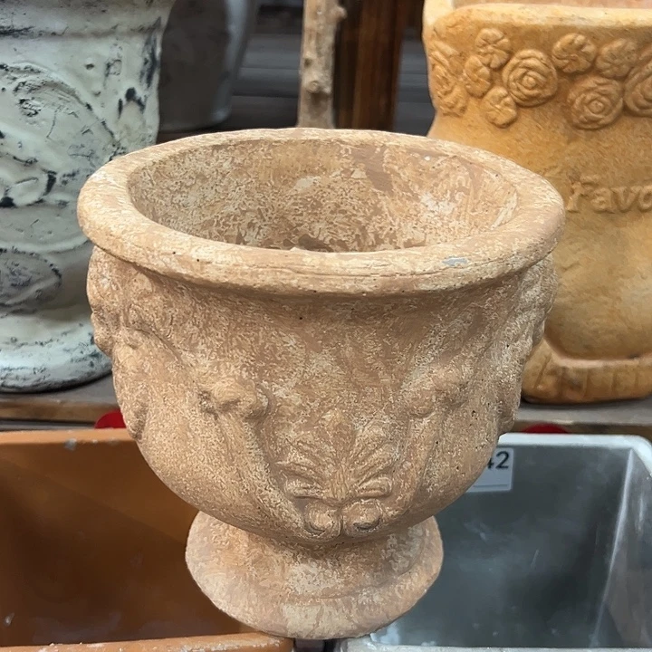 55566666966966966666