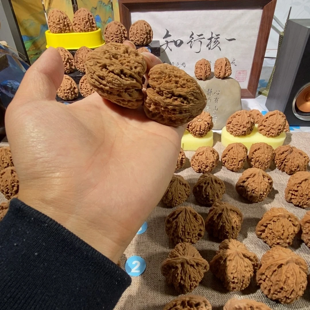 木质类南疆奥迪丑的我