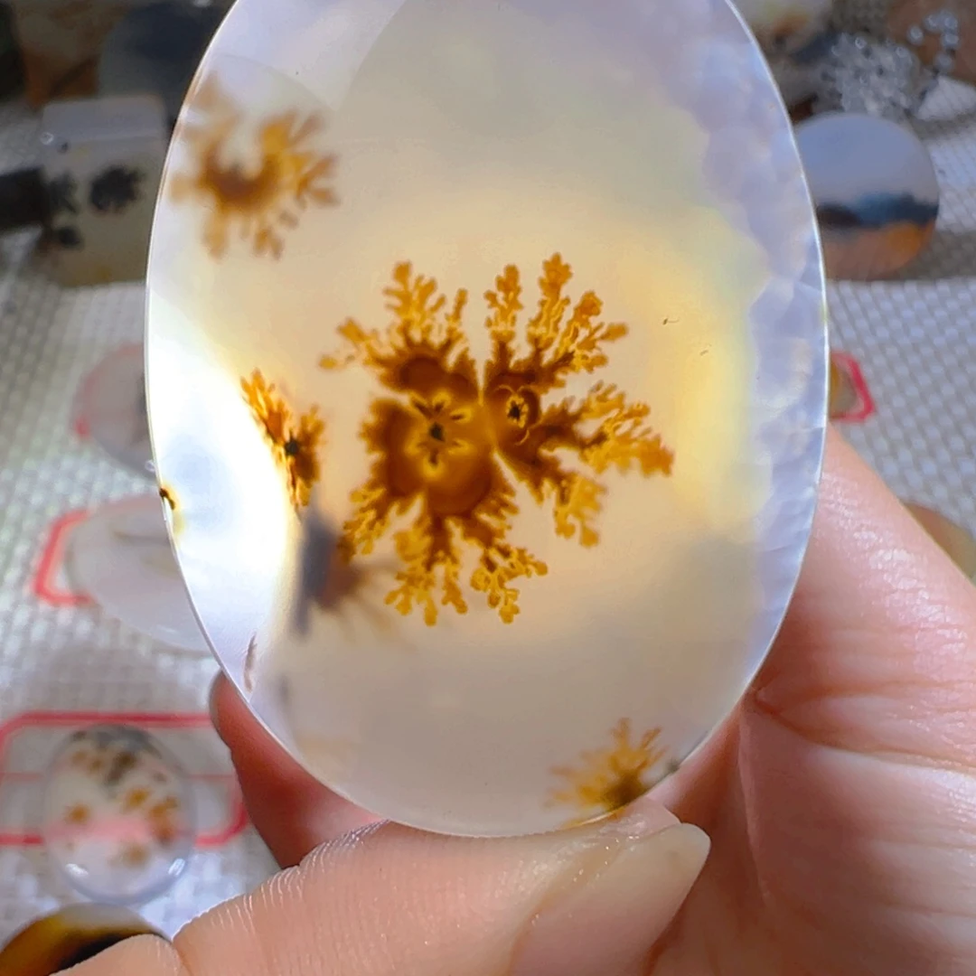 未镶嵌颈饰玛瑙/玉髓