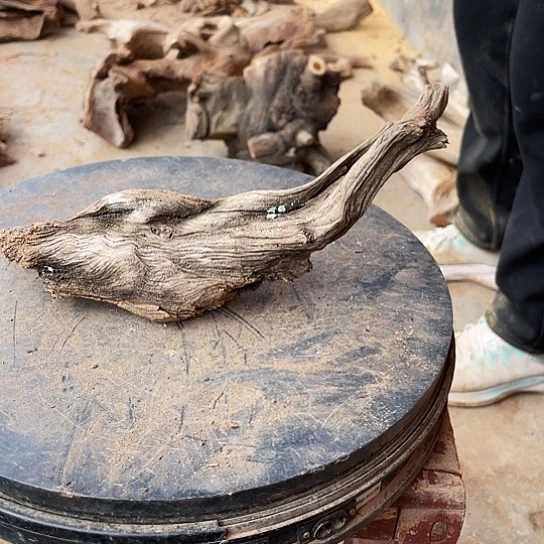 H***9柏木崖柏崖柏崖柏