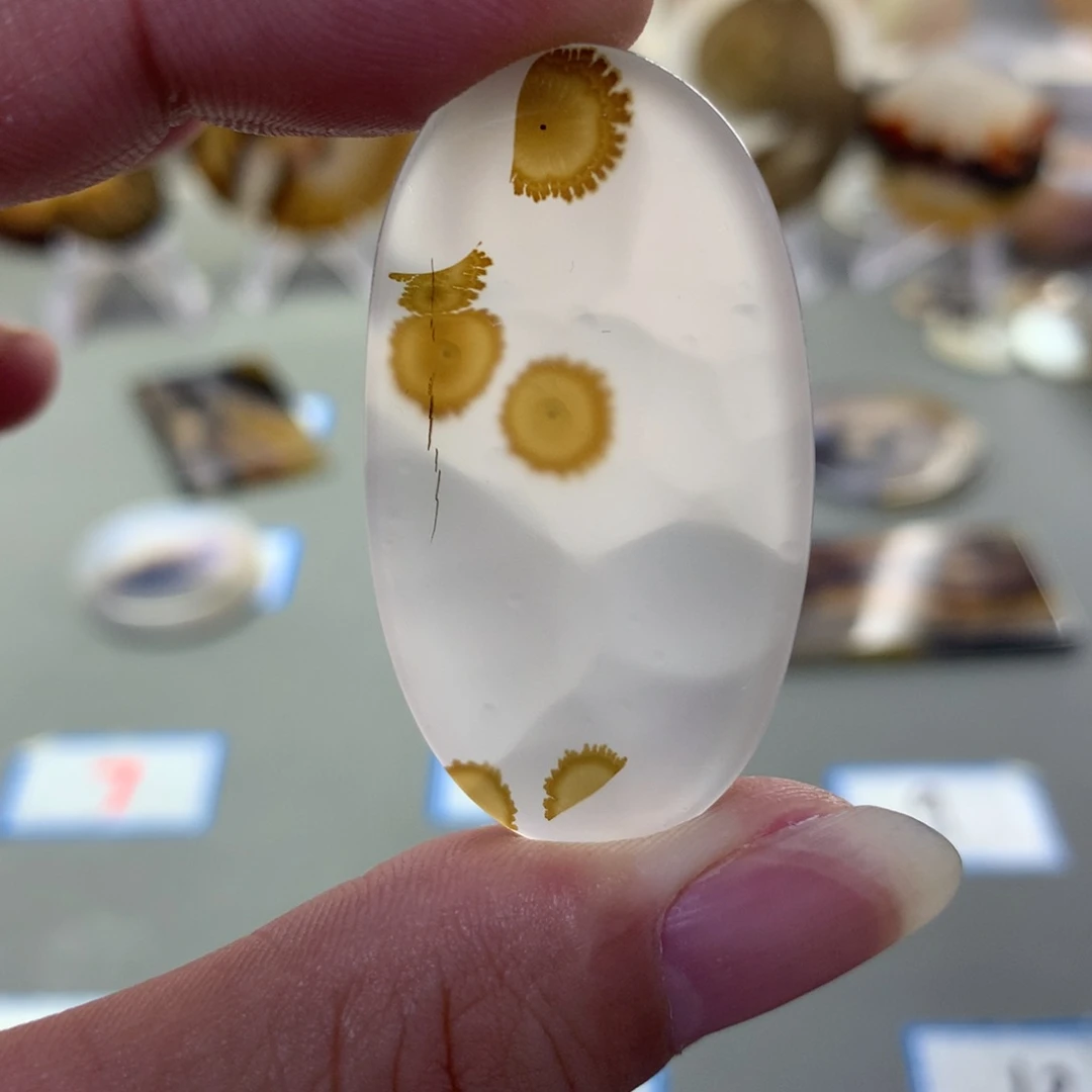 玛瑙/玉髓颈饰未镶嵌