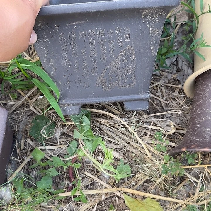这个我都看出来这一