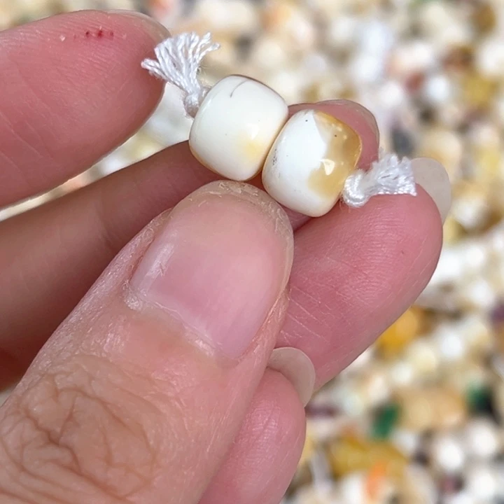 未镶嵌蜜蜡裸石8.8mm一对