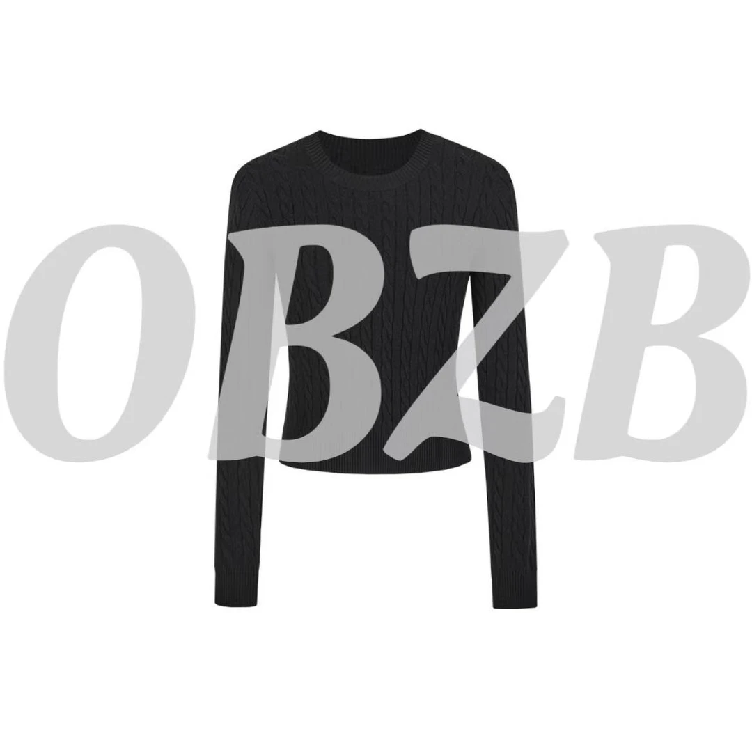 OBZB【P毛织T恤】毛衣收腰腹氛围感内搭圆领套头上衣女针织T恤8838