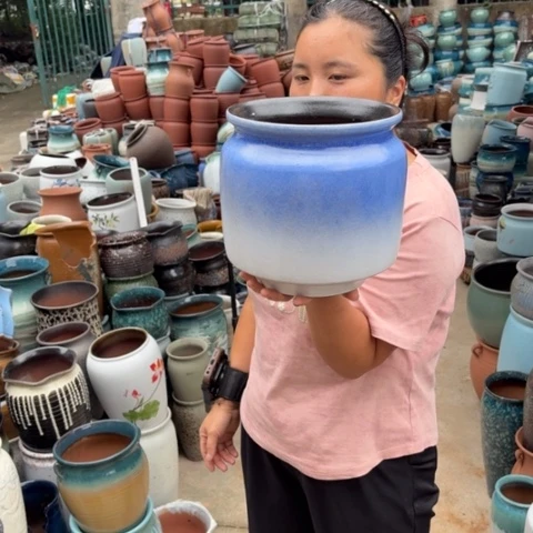 口21高22瑕瑕一个盆子。