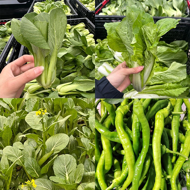 本地新鲜叶子蔬菜包套装（组合装约3斤）