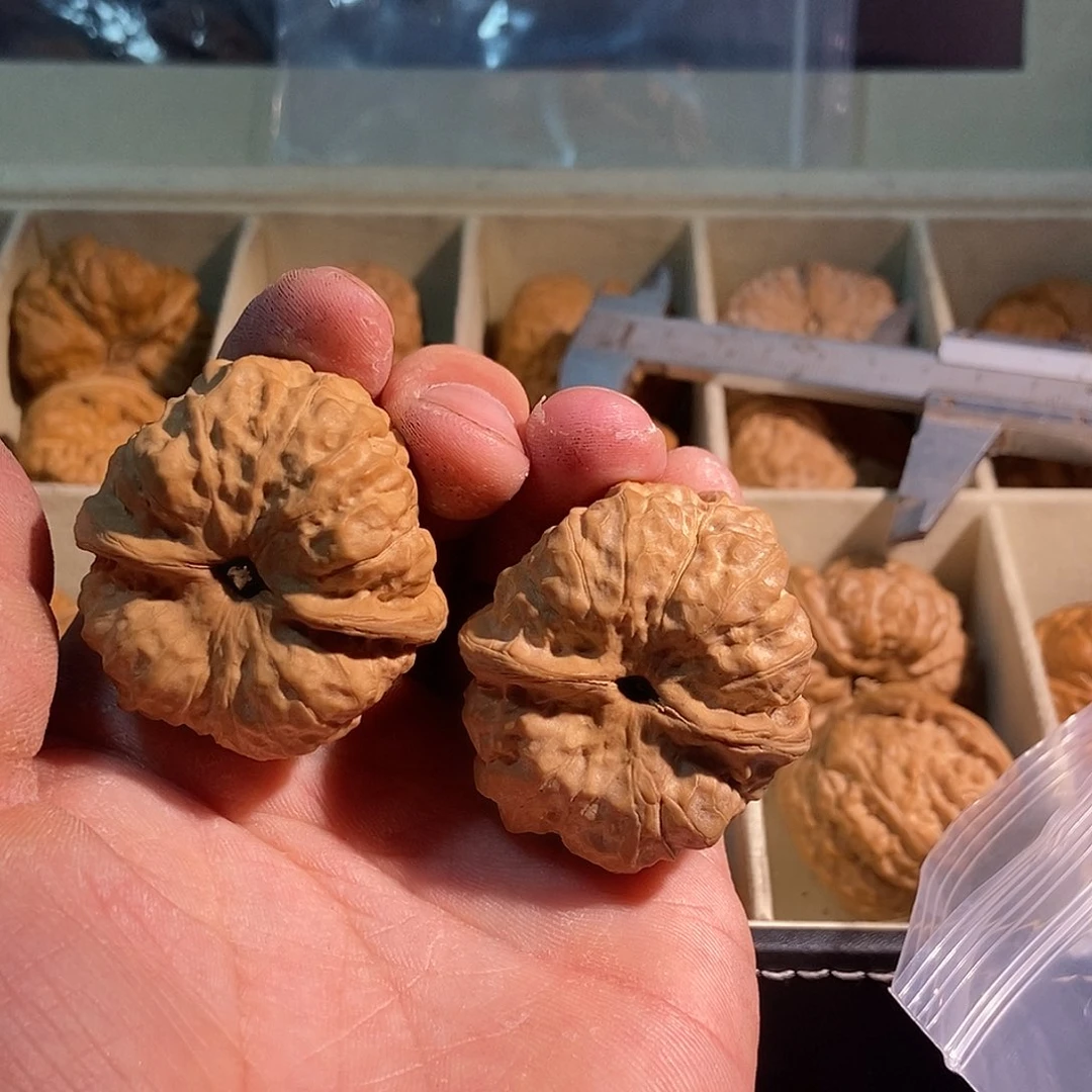 黑***点文玩核桃吊坠蛤蟆头