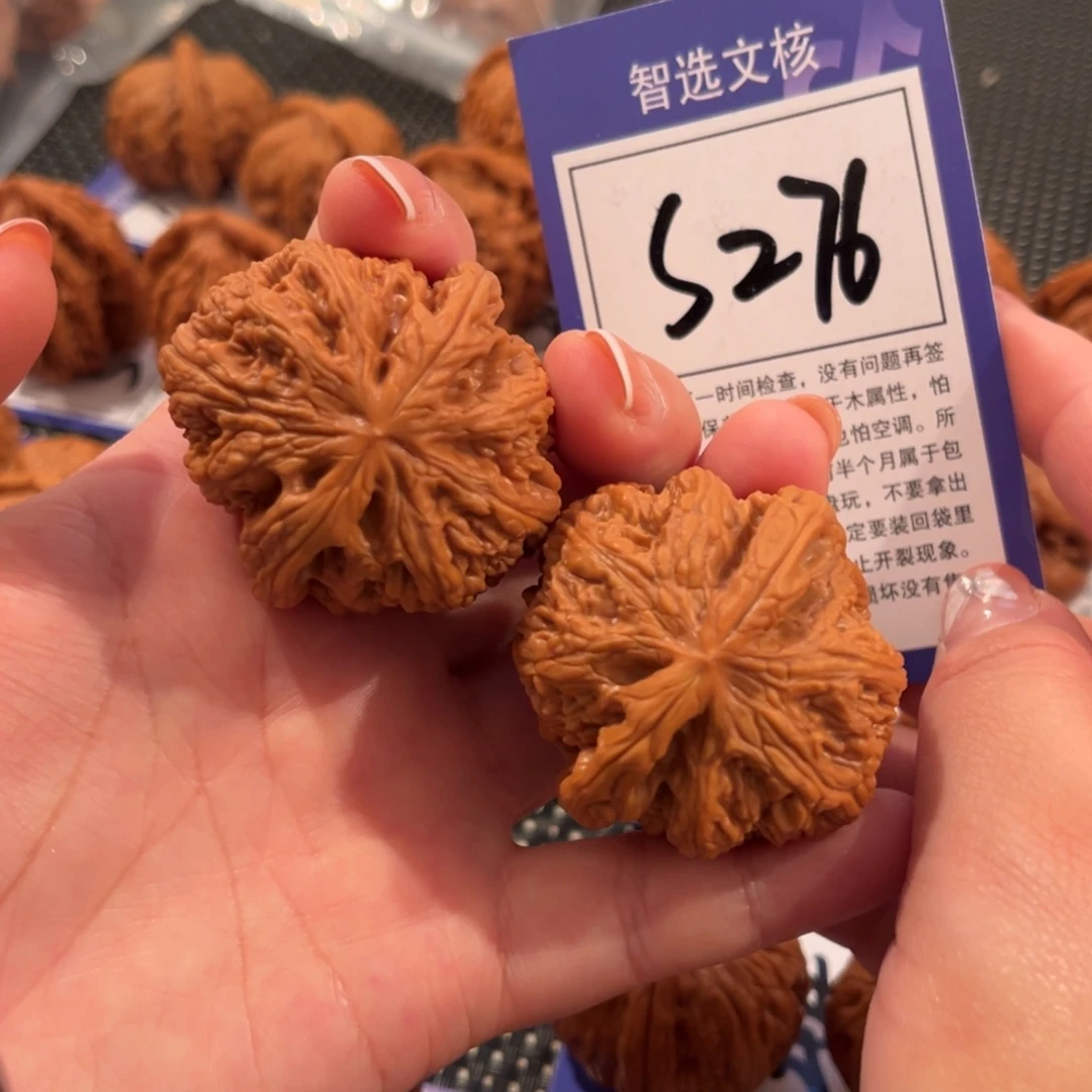 核桃S276号尺粗筋43尺