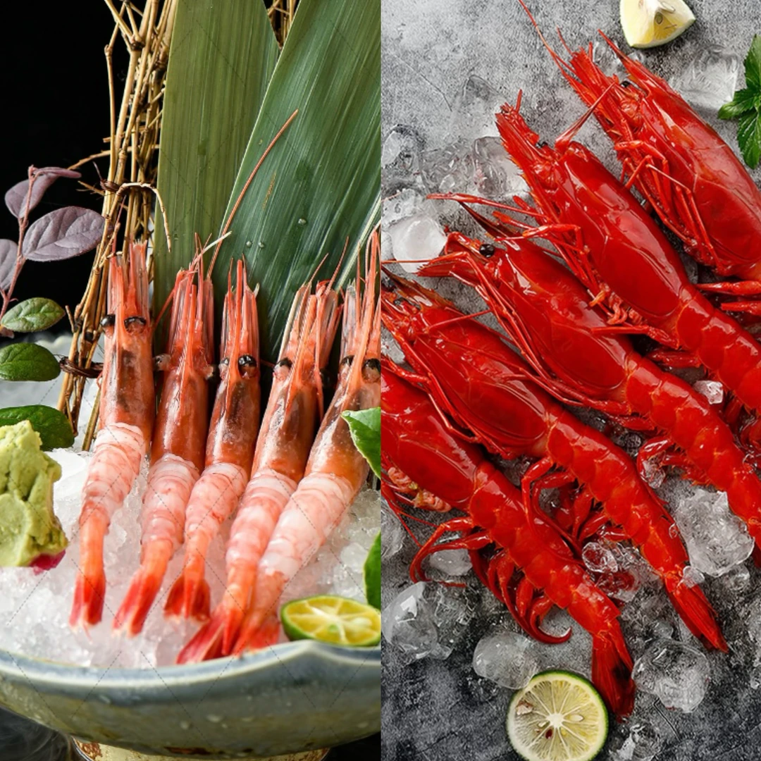 【9月份到港】北极甜虾刺身 超日料品质 船冻虾 解冻后即可生食