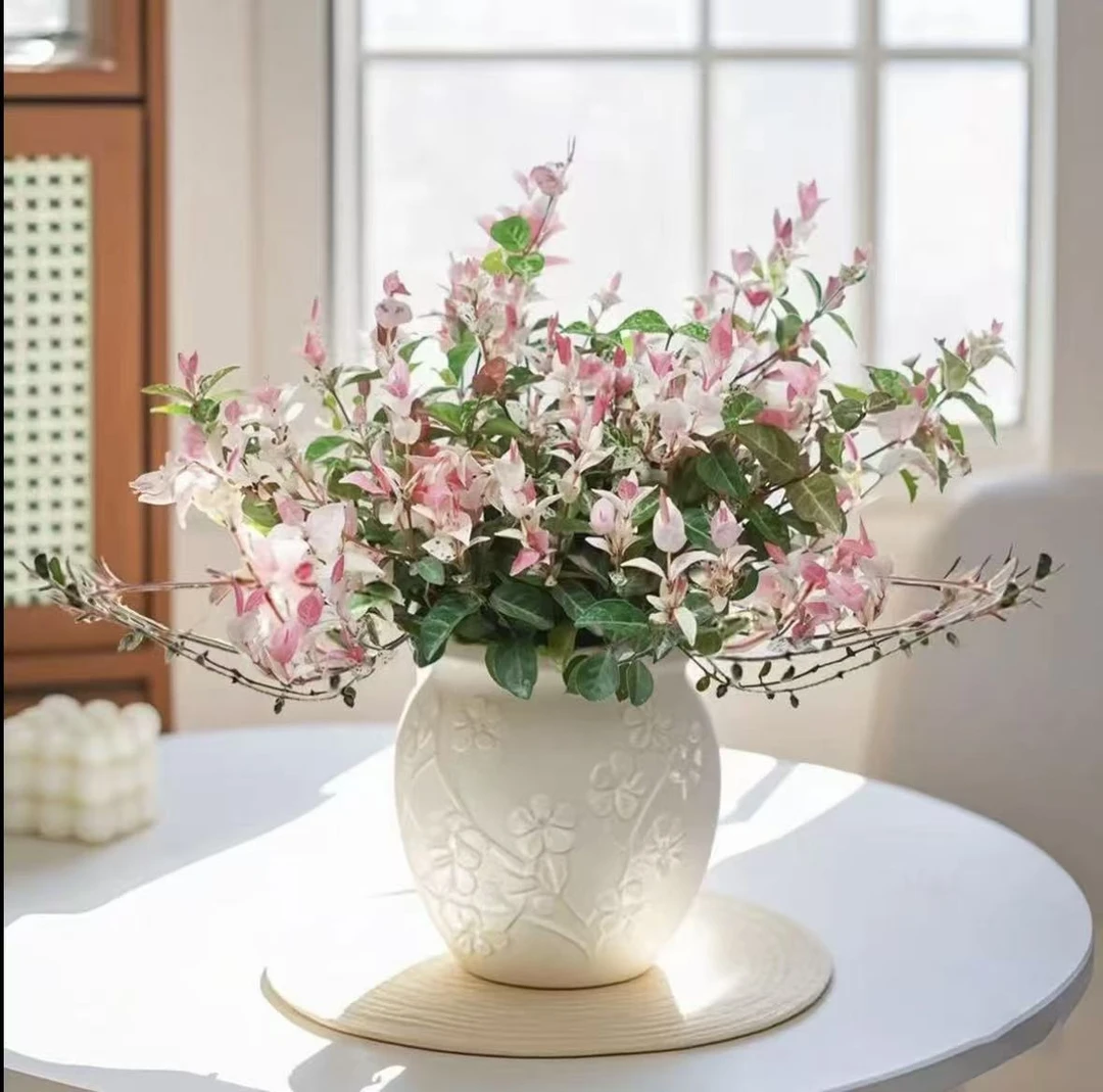 花叶络石盆栽室内外可造景四季五彩好养活垂吊植物1