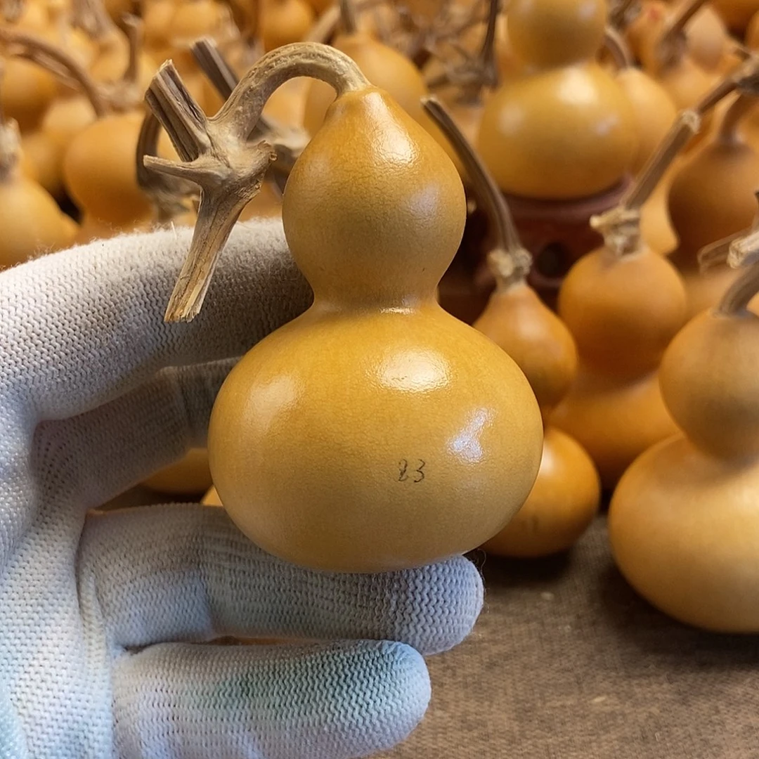 文玩葫芦 完美主义者 慎拍83