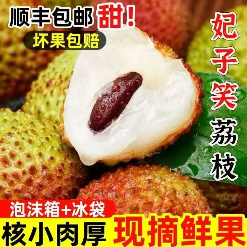 广东茂名高州新鲜妃子笑荔枝老树现摘现发精选大果5斤礼盒京东顺丰包邮冷链专机运送3斤次日达广东省