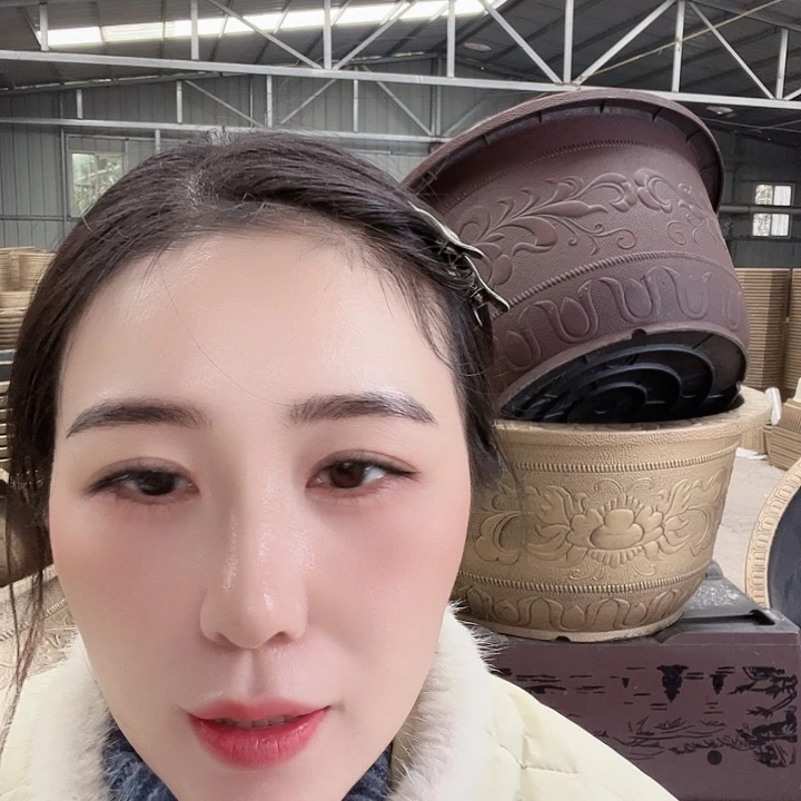 圆50口径的两个花盆