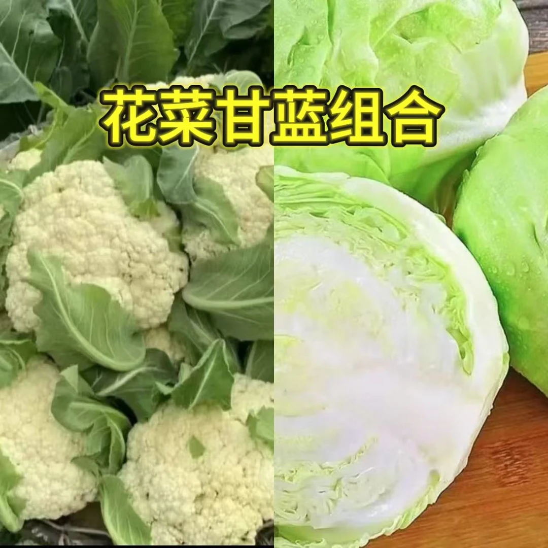 【双拼】花菜甘蓝组合装 青梗露天散花菜新鲜采摘甘蓝农家自种
