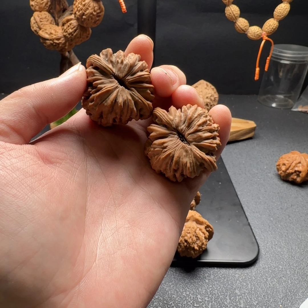 核桃四座楼全品无修